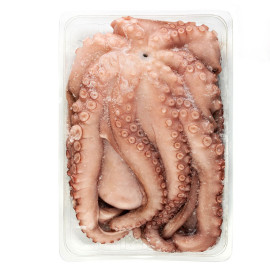 Pulpo Mexicano Talla 2 - 4