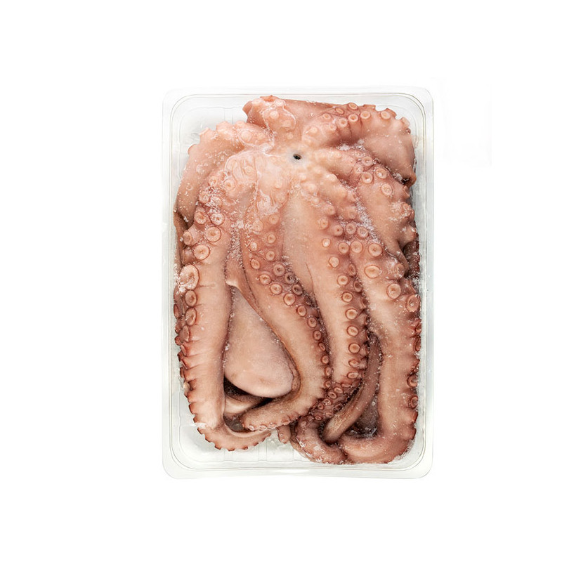 Pulpo Mexicano Talla 2 - 4